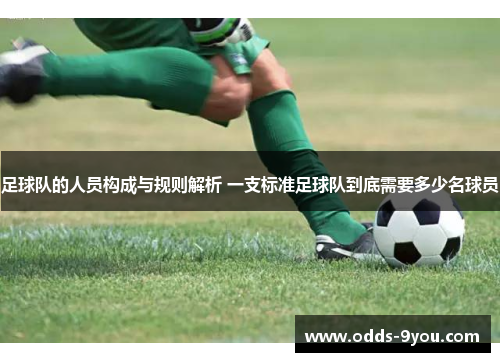 足球队的人员构成与规则解析 一支标准足球队到底需要多少名球员