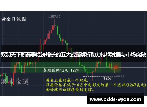 双羽天下新赛季经济增长的五大战略解析助力持续发展与市场突破